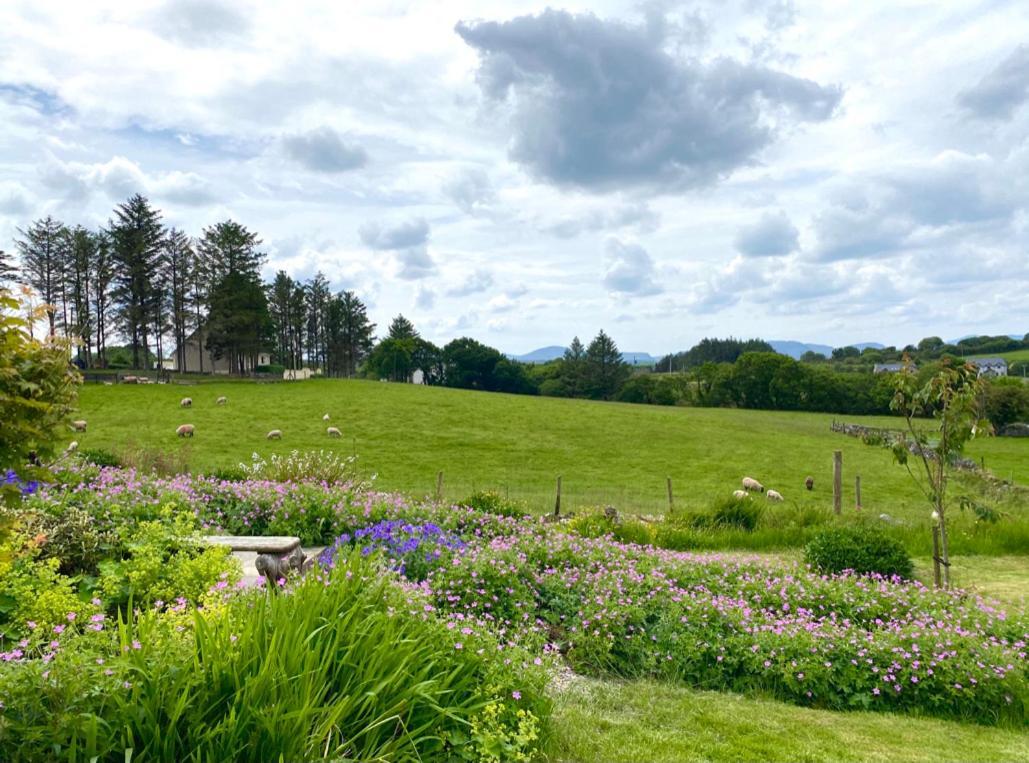Brook Bed & Breakfast